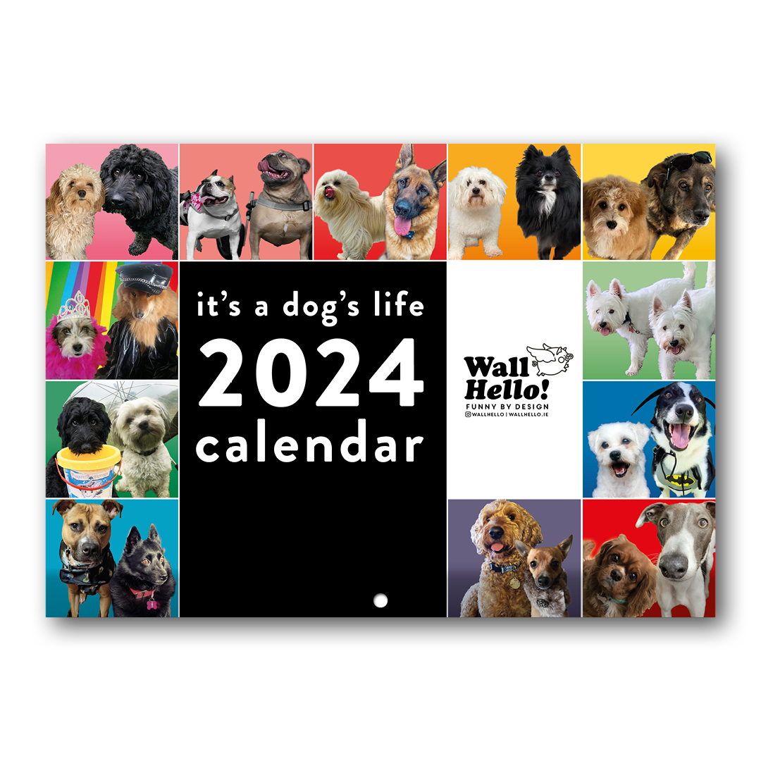 Wall　Hello!　2024　Calendar　a　Life　–　–　It's　Dog's